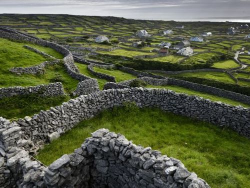 Stone Fence Maze, Ireland