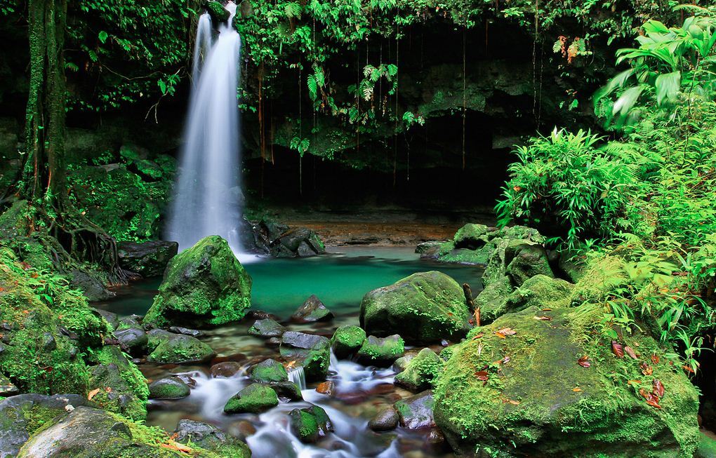 Emerald Pool - Island of Dominica.