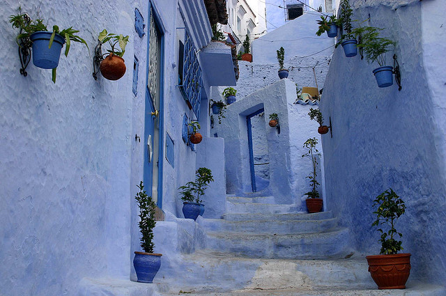 by tkrzakala on Flickr.The blue streets of Chefchaouen in northwest Morocco.