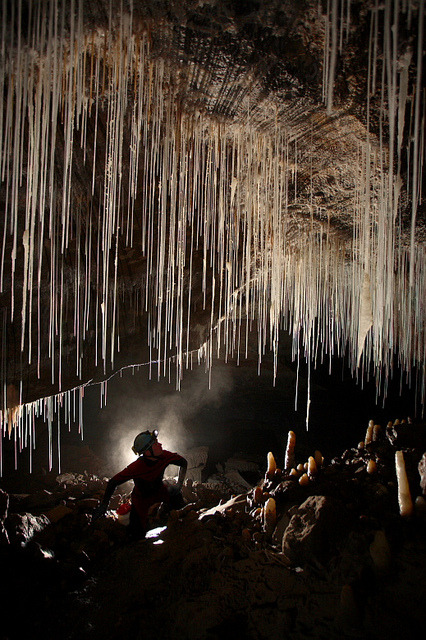 by Robbie Shone on Flickr.Cloud Chamber in Dan yr Ogof cave in south Wales.