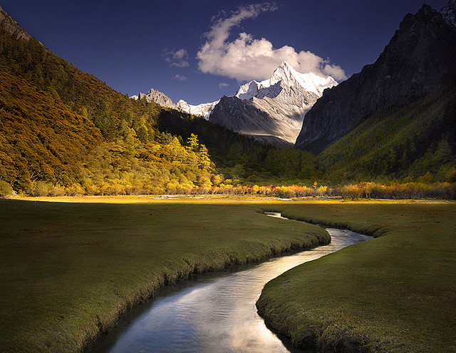 by AndersonImages on Flickr.A beautiful cold stream running through the meadows of Tibetan Himalayas.