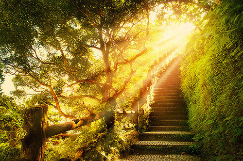Sunlight Stairway, Plitvice, Croatia