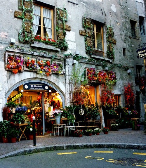 Flower Shop, Annecy, France