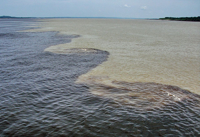 Encontro das Aguas, where Rio Negro meets Rio Solimoes, Amazon, Brazil
