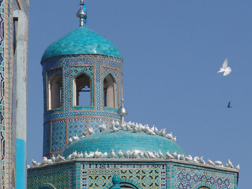 White doves on the top of The Blue Mosque in Mazar-e-Sharif, Afghanistan