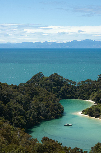Lagoon in Abel Tasman National Park, New Zealand