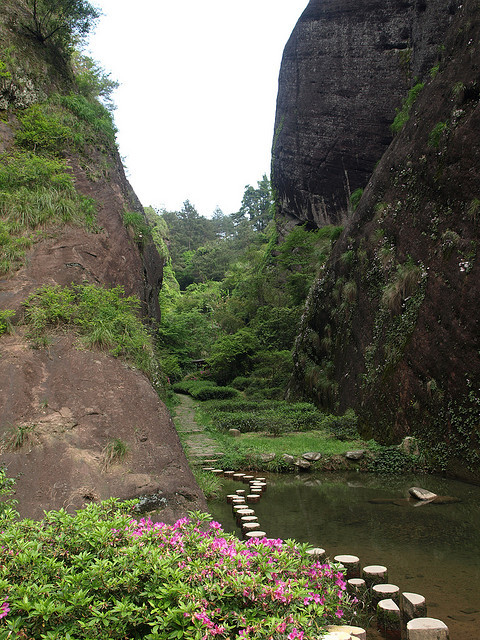 Path between cliffs and tea plants in Wuyishan, China