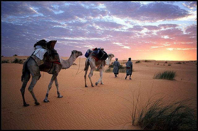 On the way for the heat wave, Sahara Desert, Mauritania