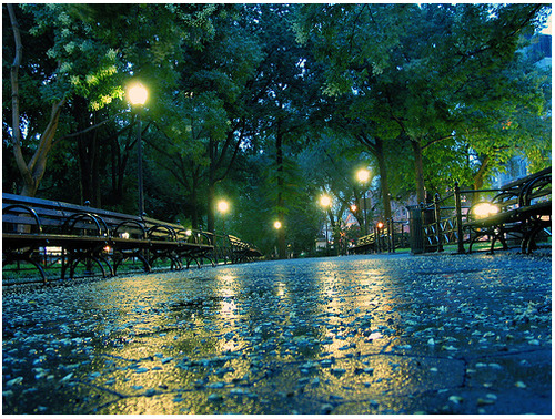 Rainy Night, Union Square, New York City
