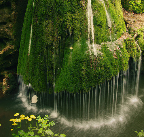 Moss Waterfall, Romania