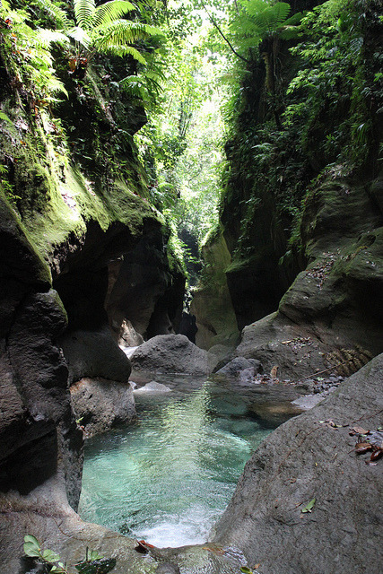 Exploring the scenic Titou Gorge in Dominica