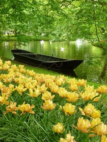 Keukenhof Gardens, the Netherlands
