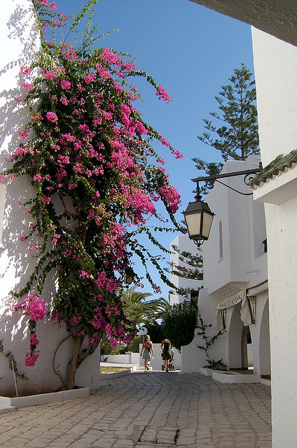 Beautiful street in Port El Kantaoui, Tunisia