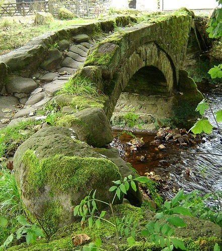 Ancient Moss Bridge, The Highlands, Scotland
