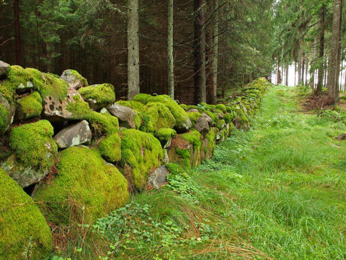 Ancient Stone Wall, Sweden