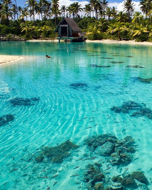 Turquoise Lagoon, Bora Bora, French Polynesia
