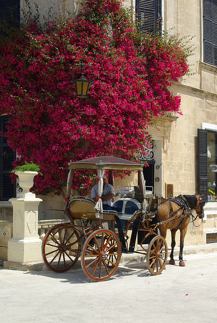Carriage tour on the streets of Mdina, the old capital of Malta
