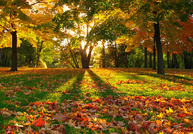 Autumn, Greenfield Park, Milwaukee, Wisconsin