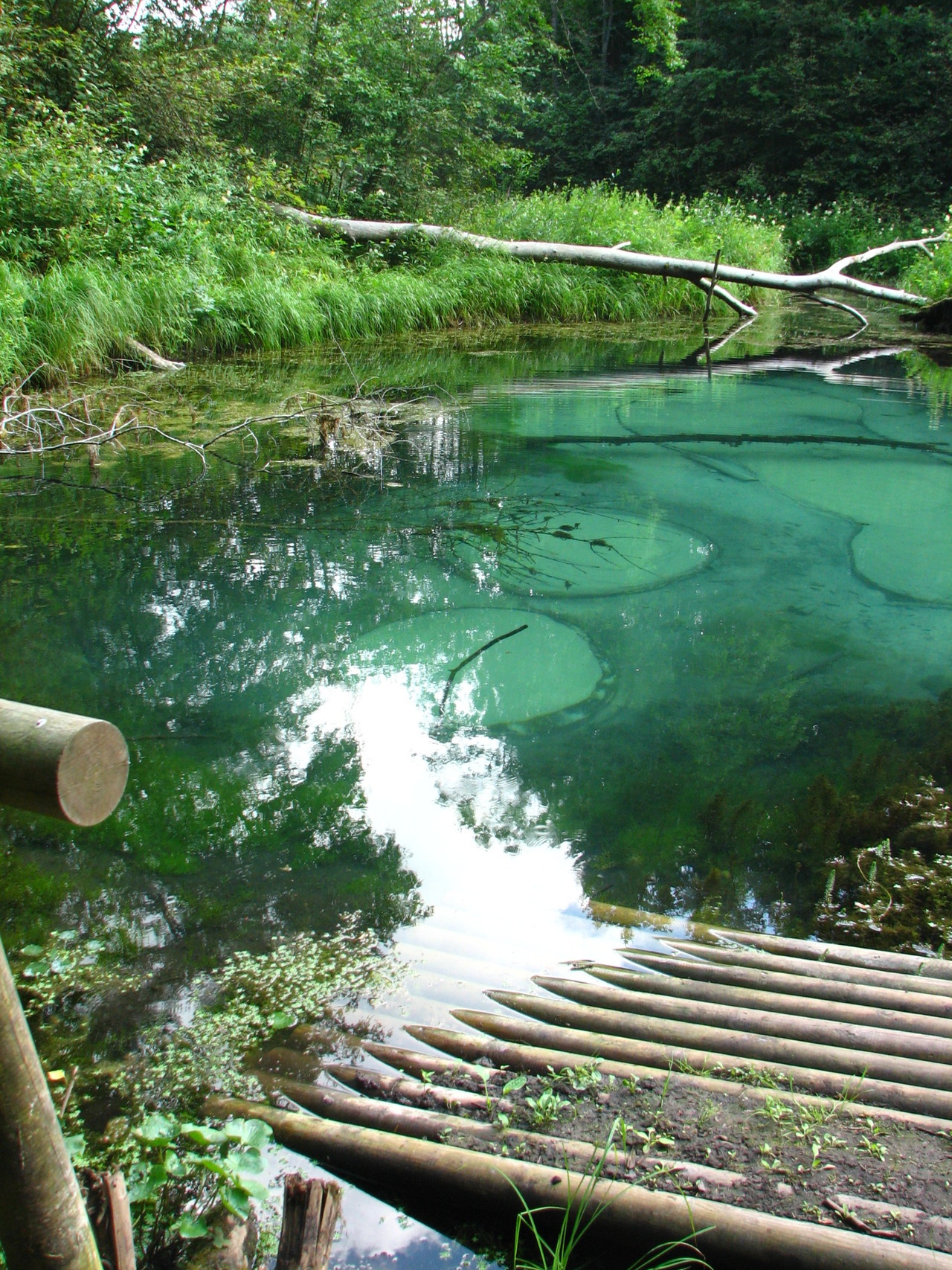 The Blue Springs of Saula, freshwater springs located in Harju County, northern Estonia.