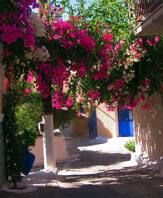 Floral arch on the streets of Poros, Greece