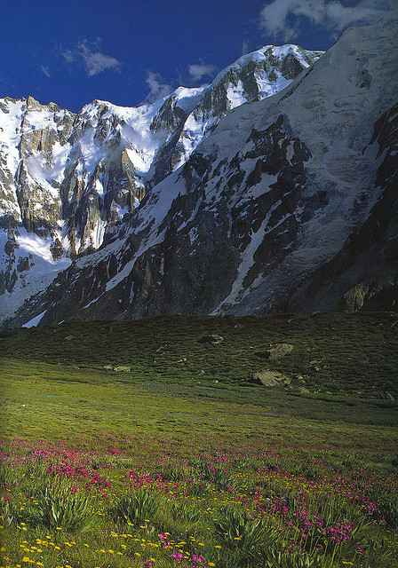 Green valley under Mazeno peaks in Karakorum Mountains, Pakistan