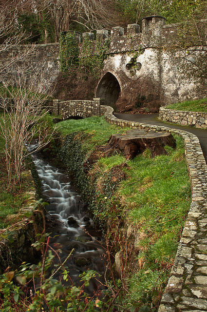 Tollymore Forest Park in Co. Down, Northern Ireland