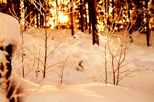 Snow Sunrise, Stockholm, Sweden