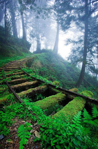 Jiancing Historic Trail in Taipingshan National Forest, Taiwan