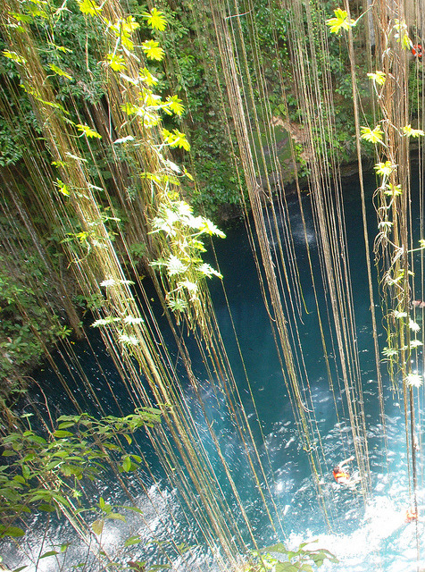 Curtain of vines and blooms at Ik-Kil Cenote, Mexico
