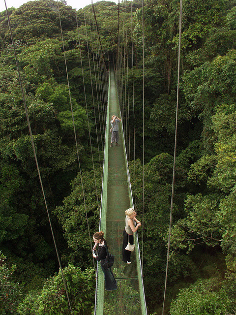 Canopy walkways above the Monteverde Rainforest, Costa Rica