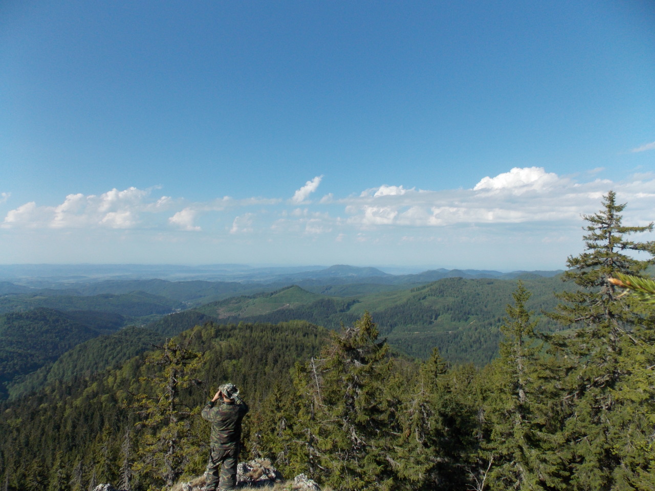 Hiking in the Carpathians