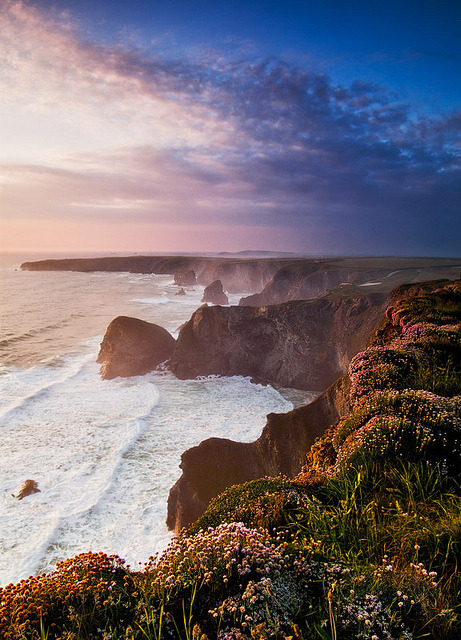 Sunset over flower covered cliffs at Giant Steps in Cornwall, England