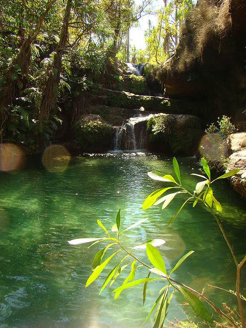 The emerald natural pool in Isalo Natural Park, Madagascar