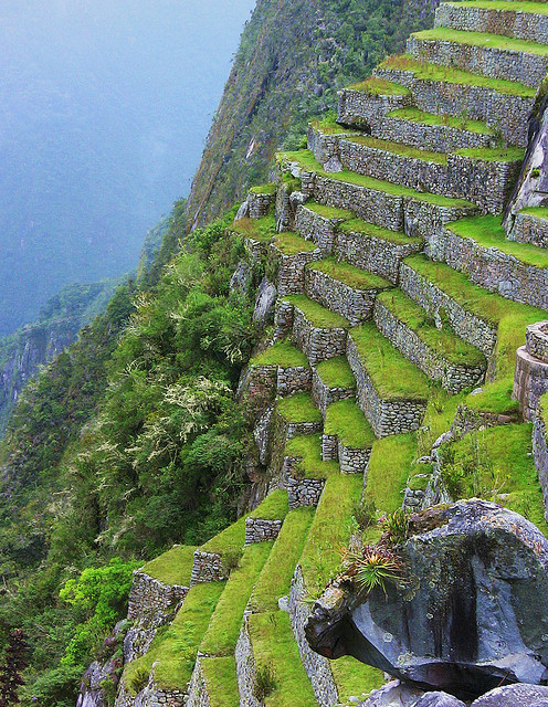 The inca terraces of Machu Picchu / Peru