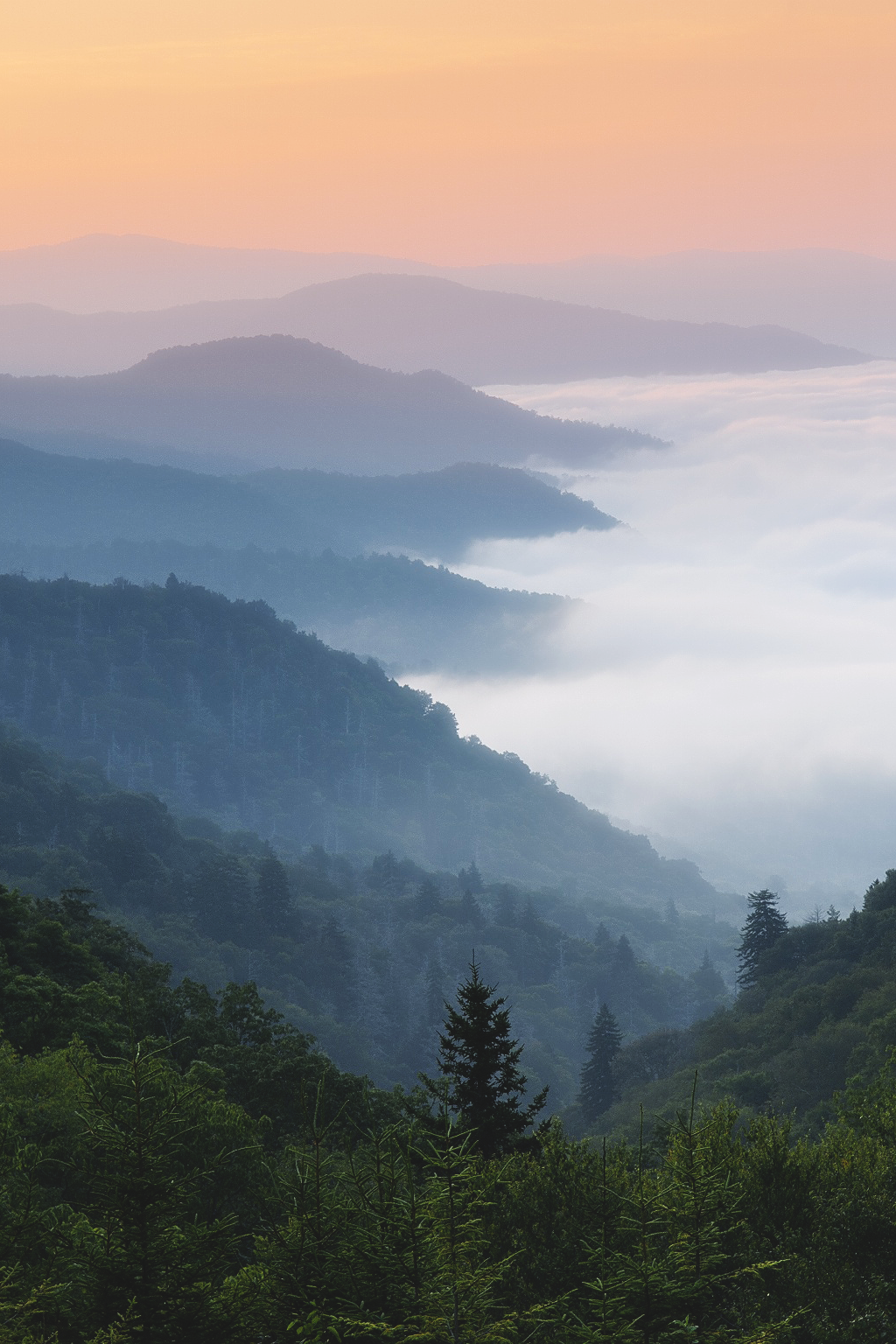 Great Smoky Mountains, North Carolina  Itai Minovitz