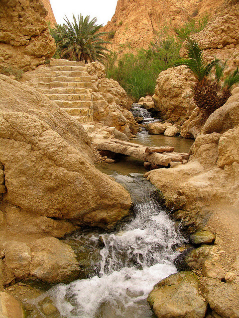 The mountain oasis of Chebika / Tunisia