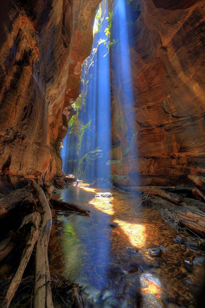 Rocky Creek Canyon, Blue Mountains / Australia